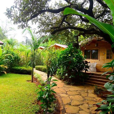 Severine Cottages And Lounge Ltd Nairobi Zewnętrze zdjęcie