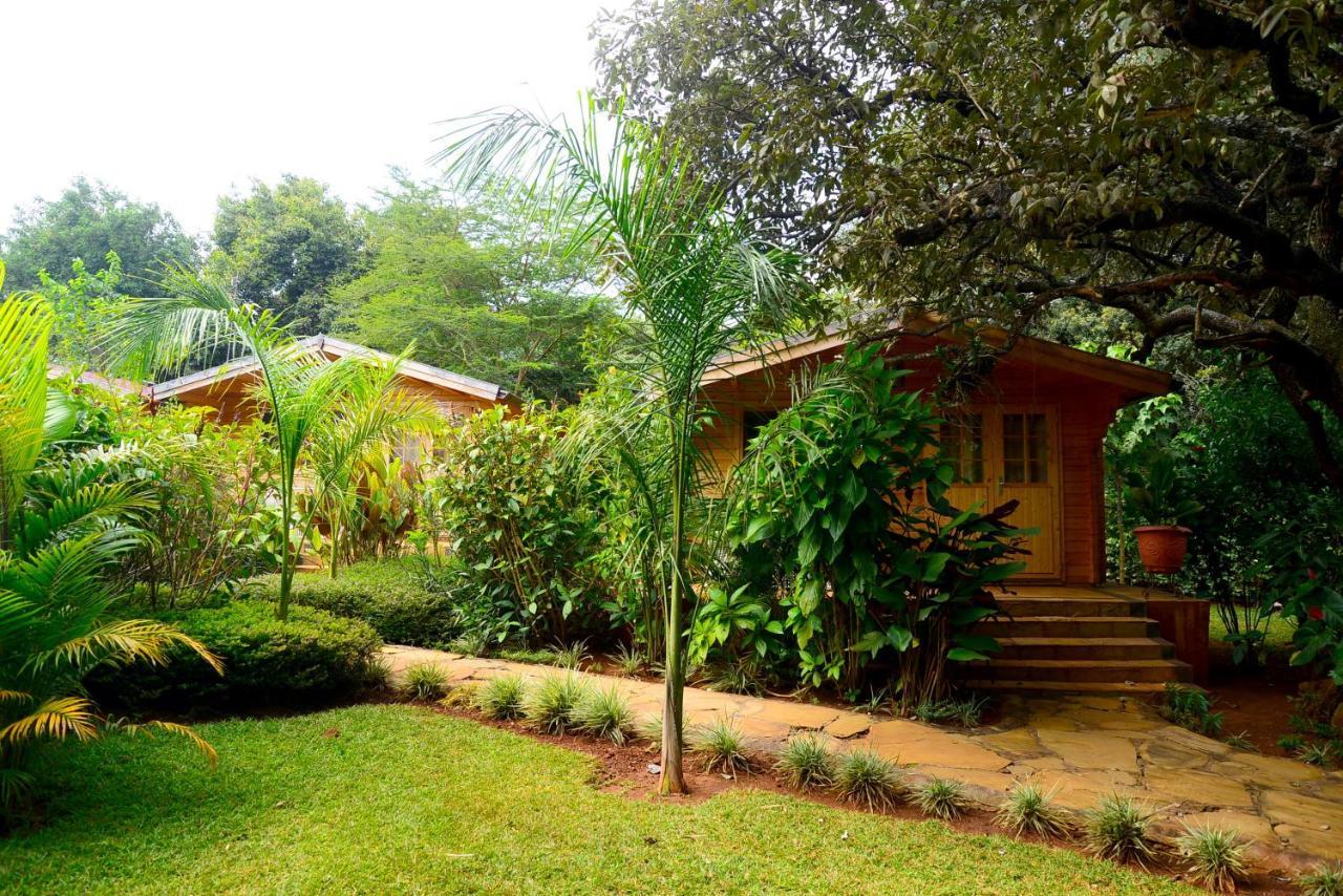 Severine Cottages And Lounge Ltd Nairobi Zewnętrze zdjęcie